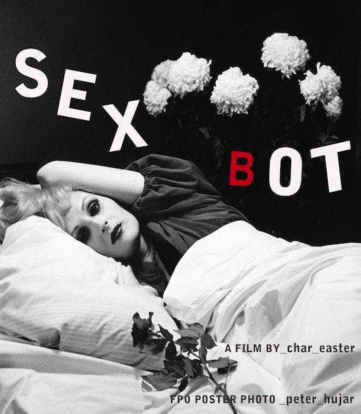 Sex Bot_film short poster by Char Easter